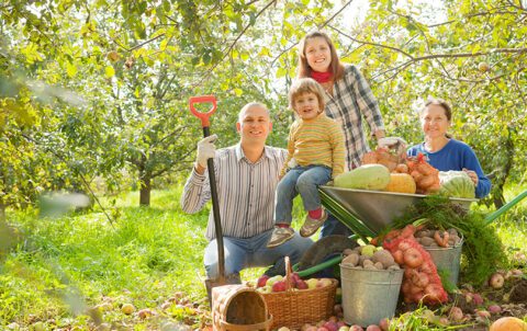 5 Equipamentos Essenciais Para A Agricultura Familiar Scawa