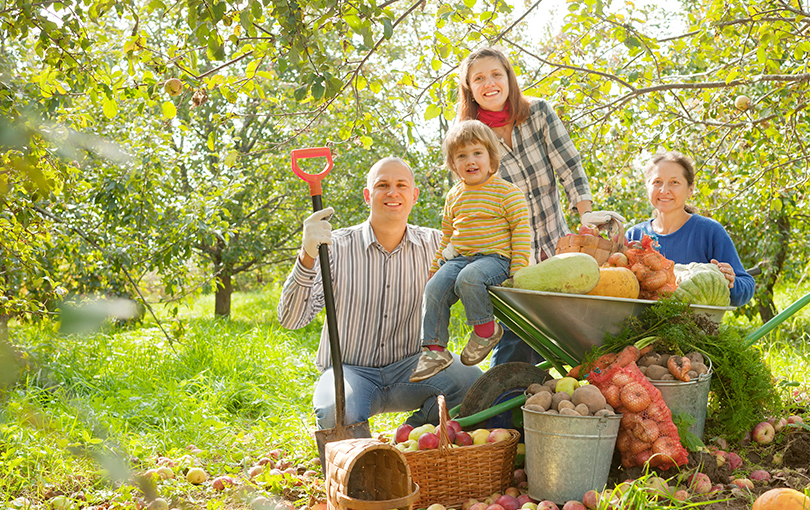 5 equipamentos essenciais para a agricultura familiar